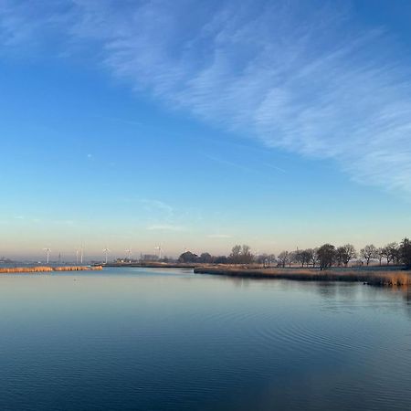 Hausboot Der Frieslaender Im Wangermeer Schillig Exteriör bild